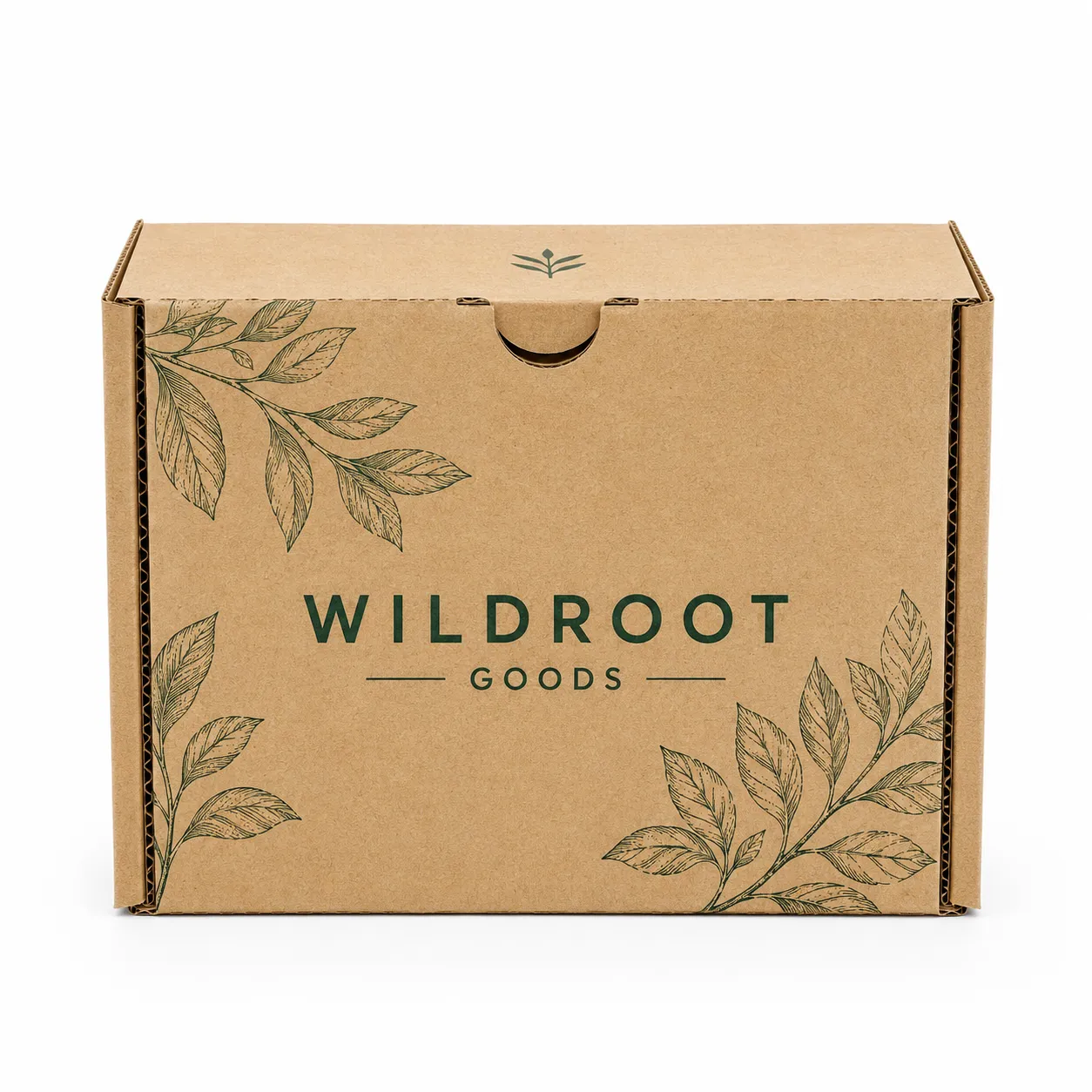 Mailer Box