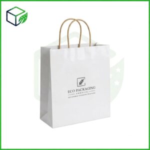 Twisted Handle Paper Bag