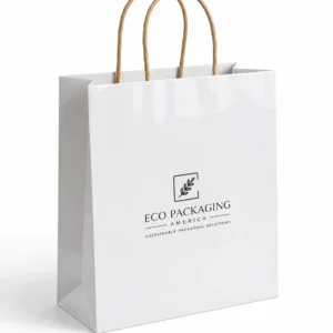 Twisted Handle Paper Bag