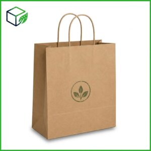 Kraft Paper Bag (Eco-Style)